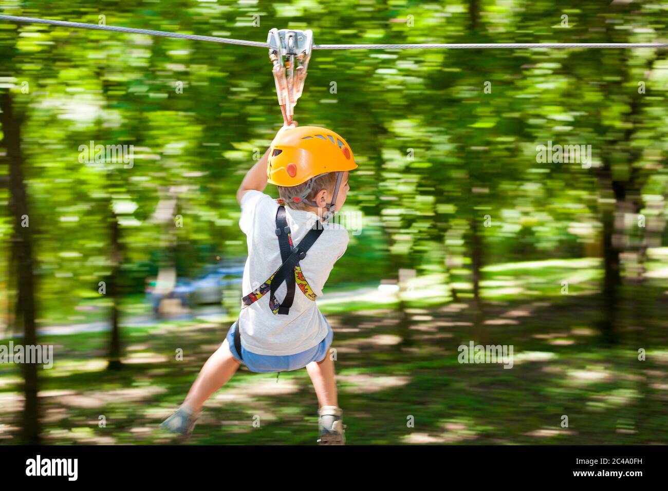 Boy sliding down rope attached betweeen trees Stock Photo Alamy
