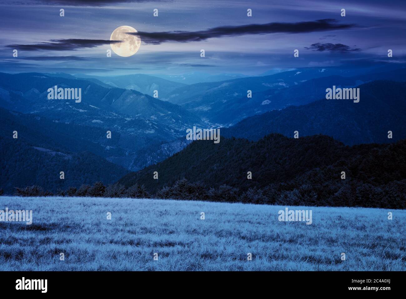 mountain landscape at night. trees on the meadow in dry grass in full moon light. ridge in the distance. beech forest on the hills. clouds on the sky Stock Photo