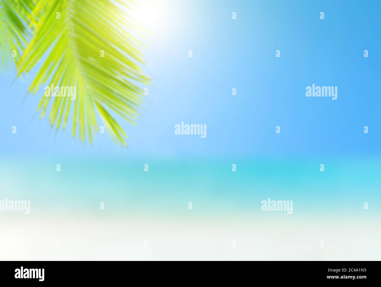 Blurred of palm trees or coconut trees leaf against the blue sky and sunshine light in summer time. Summer background. Stock Photo