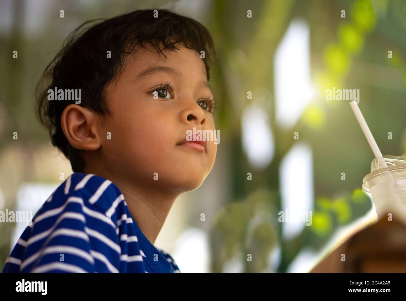 Indoor portrait of a 5 year old Asian boy, Thailand kid, Thai child. Stock Photo