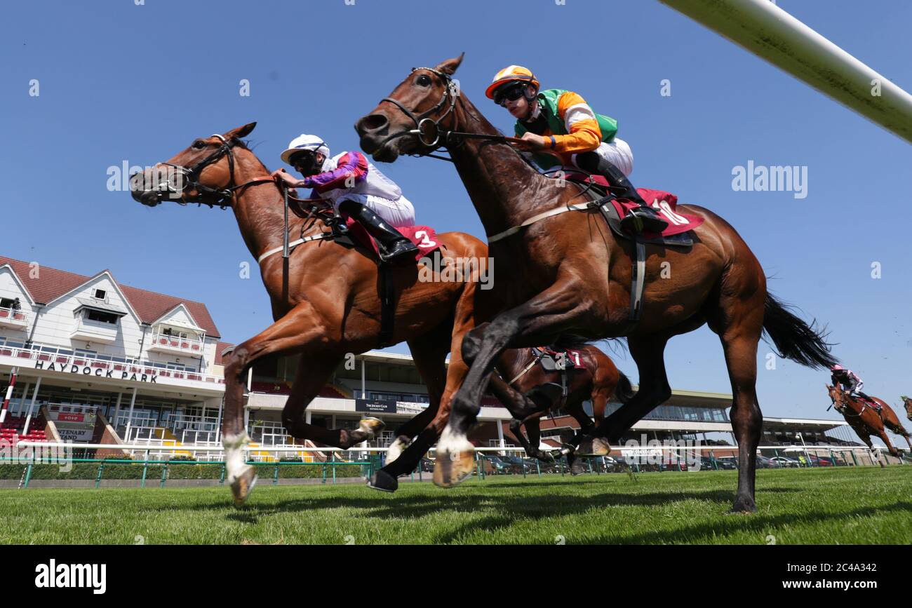 Every race live on racing tv handicap haydock racecourse hires stock