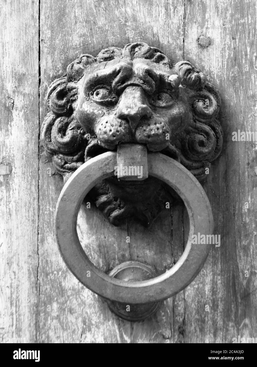 Vintage metal door knocker on old wooden door. Black and white image. Stock Photo