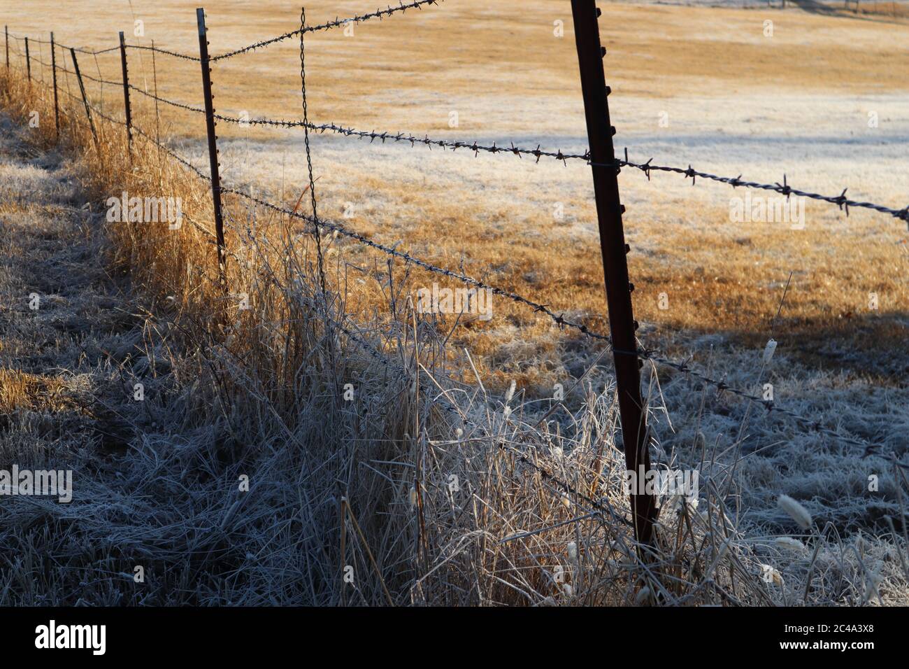 Autumn, winter country landscape with view down a barb wire fence on a ...