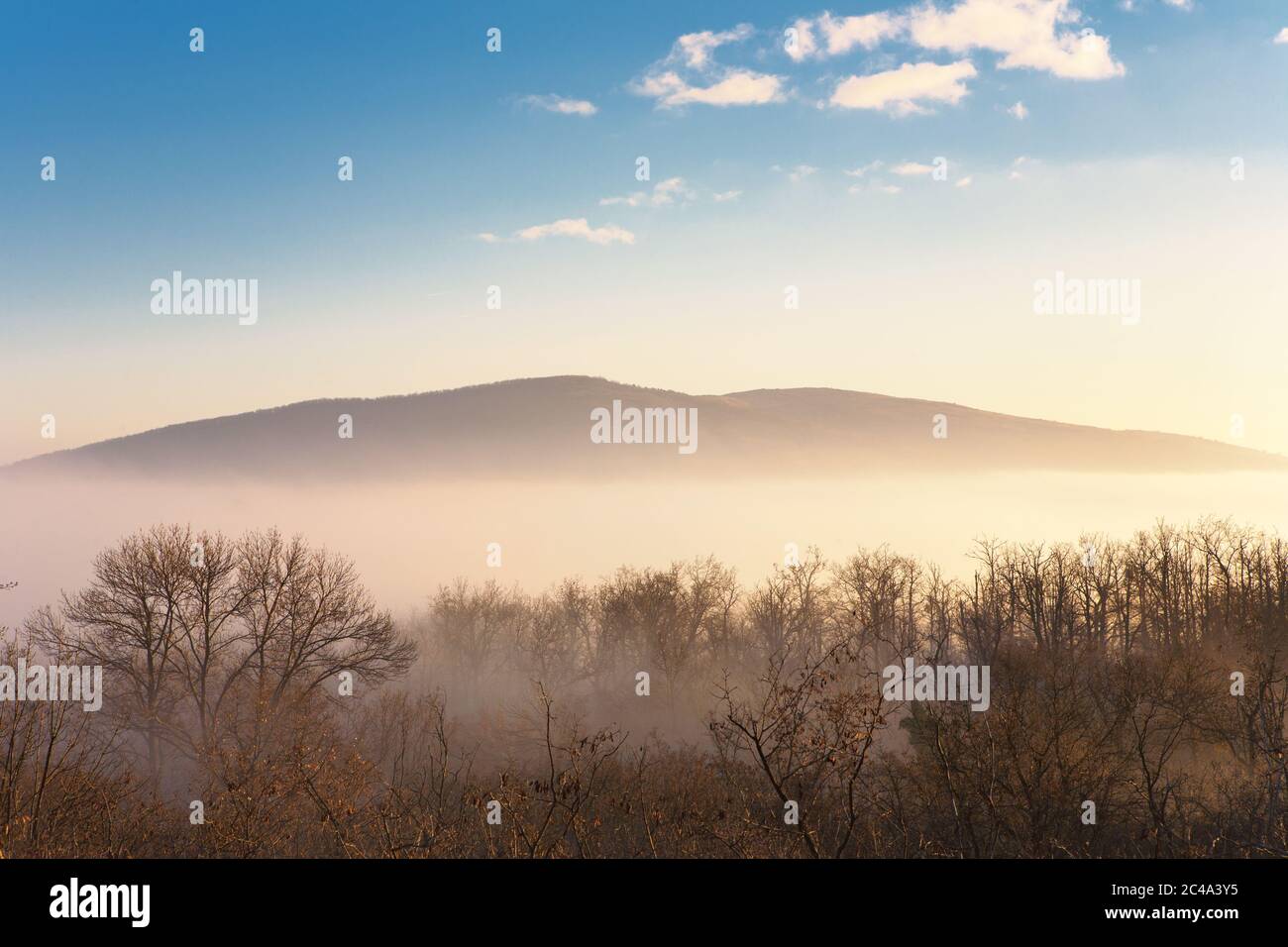 Mysterious foggy forest sunset hi-res stock photography and images - Alamy