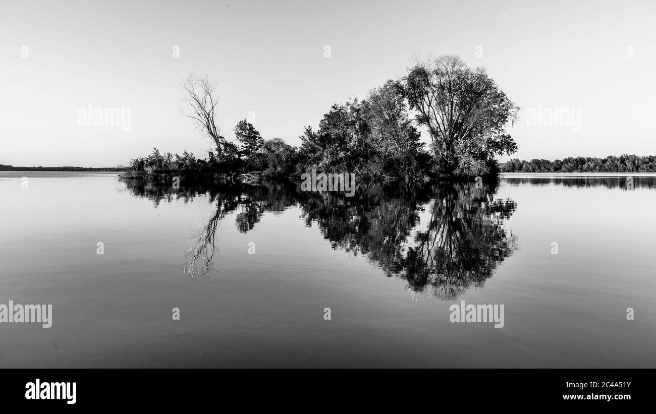 Small island with trees reflected in calm water of Nove Mlyny Dam, Moravia, Czech Republic. Black and white image. Stock Photo