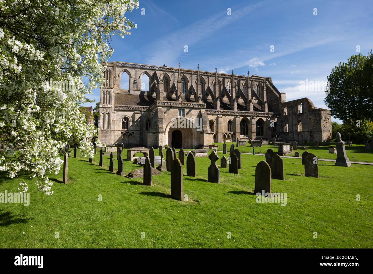 Malmesbury Abbey, Malmesbury, Wiltshire, England, United Kingdom, Europe Stock Photo