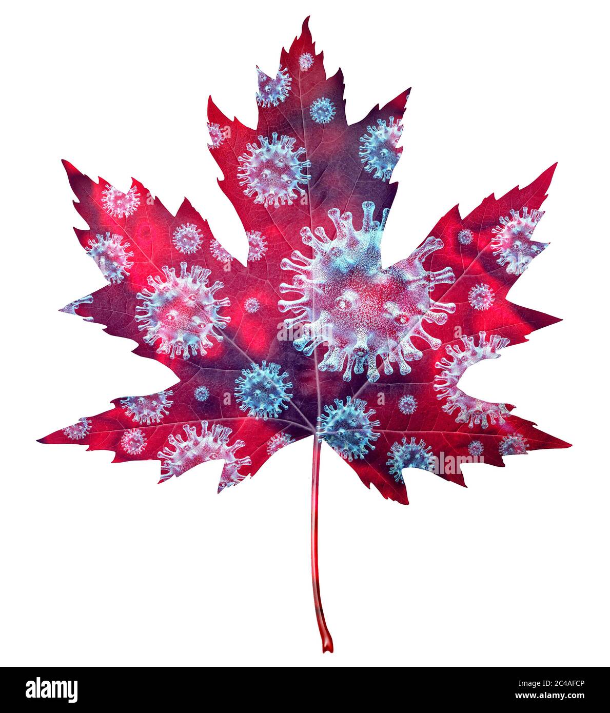Canadian coronavirus outbreak and influenza in Canada as dangerous flu strain cases as a pandemic medical health risk concept shaped as a red maple. Stock Photo