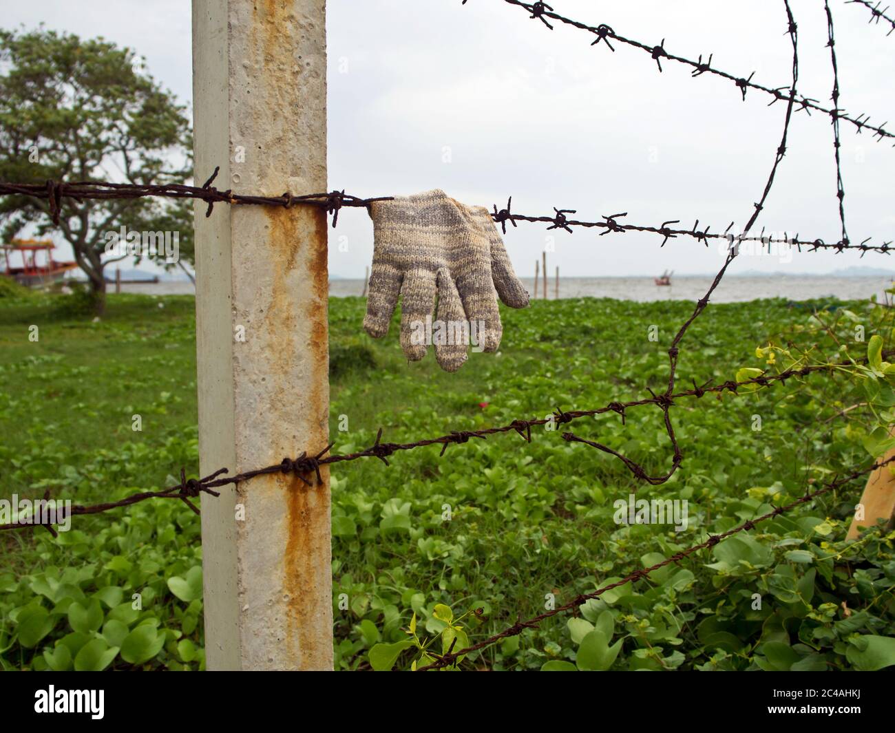 Glove barbed wire hi-res stock photography and images - Alamy