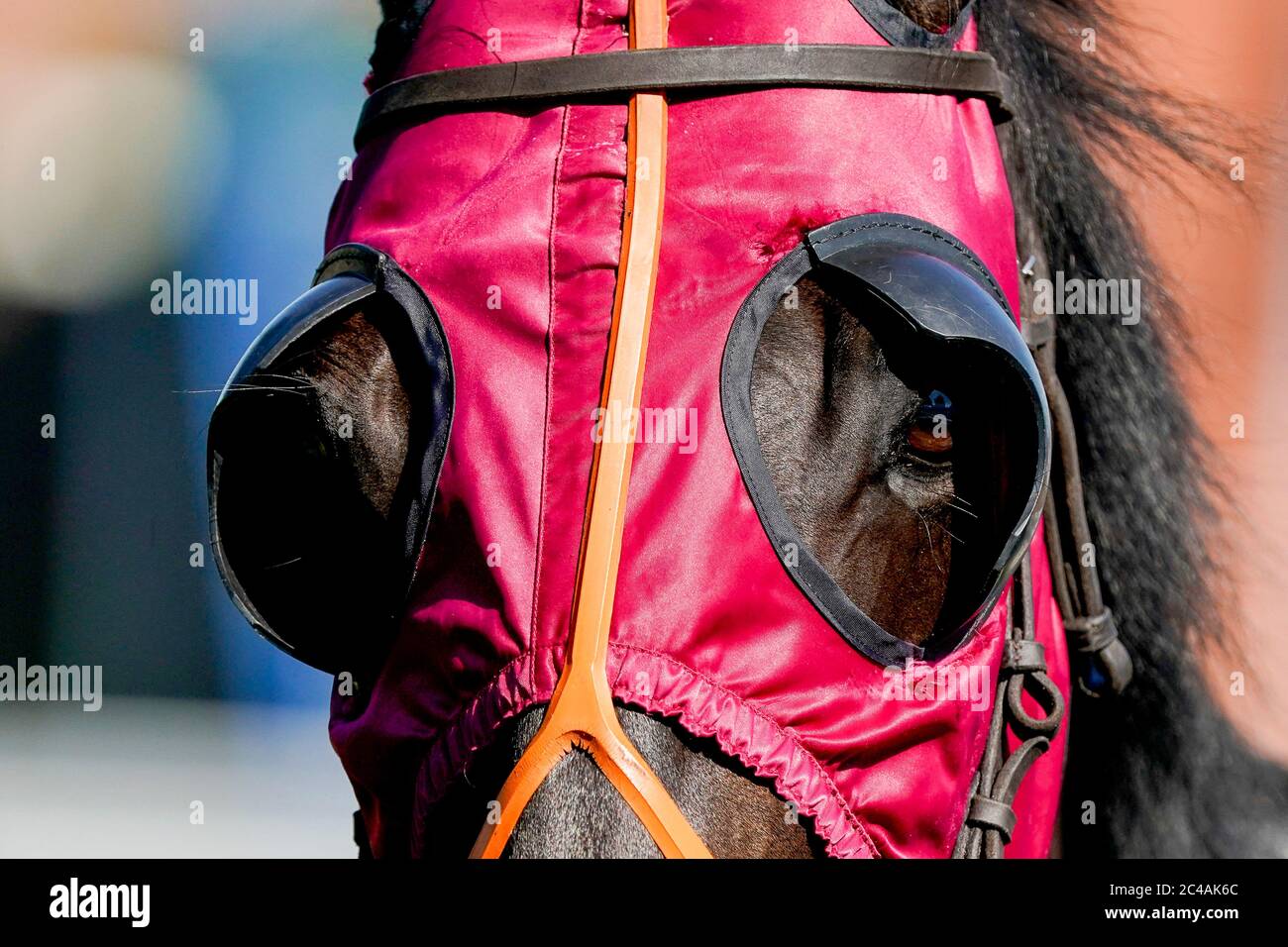 A general view of red blinkers on a runner at Leicester Racecourse. Stock Photo