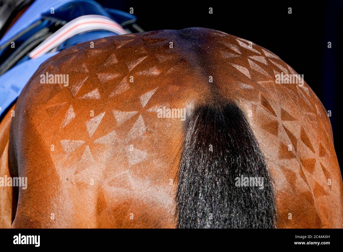 A general view of a brushed pattern on a horse at Leicester Racecourse. Stock Photo