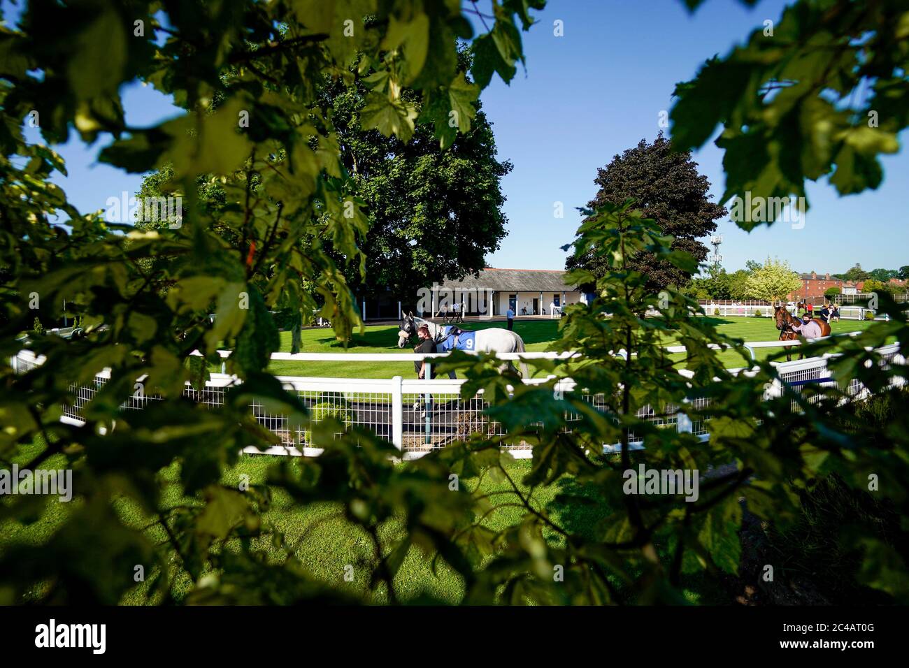 A general view as a horse is lead around the parade ring at Leicester Racecourse. Stock Photo