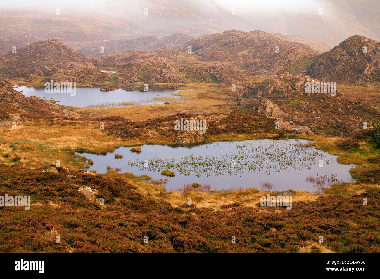 The tarns on the summit plateau of Haystacks, in the English Lake District Stock Photo