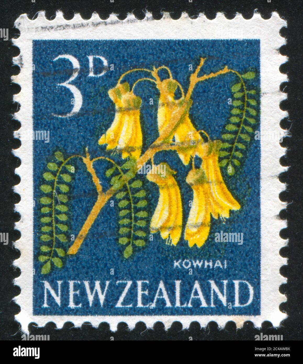 NEW ZEALAND - CIRCA 1960: stamp printed by New Zealand, shows Kowhai flower, circa 1960 Stock Photo