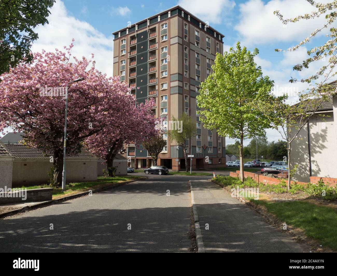 Calder Tower, Motherwell, in spring Stock Photo Alamy