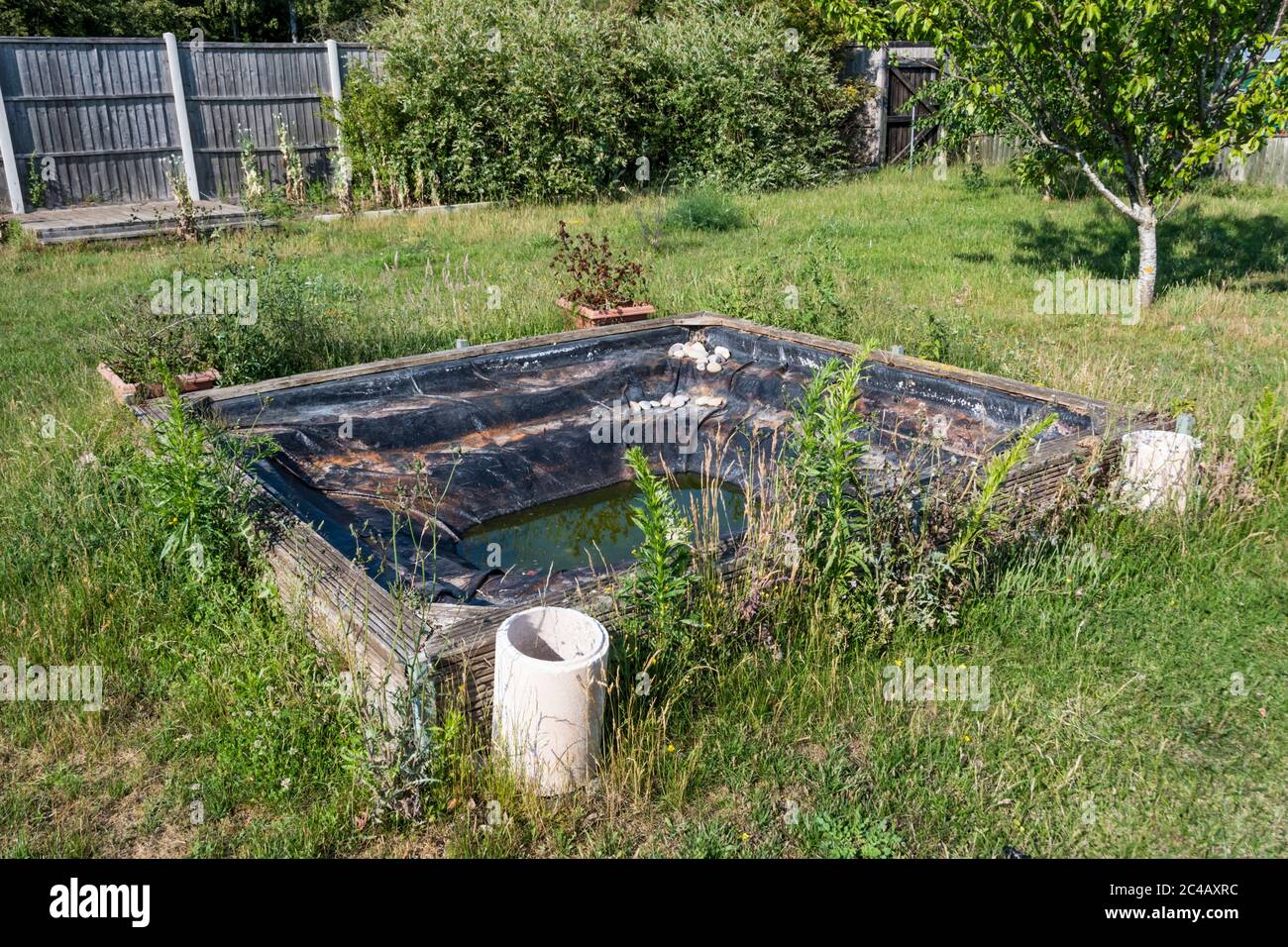 Old abandoned ornamental pond in an overgrown garden. Stock Photo