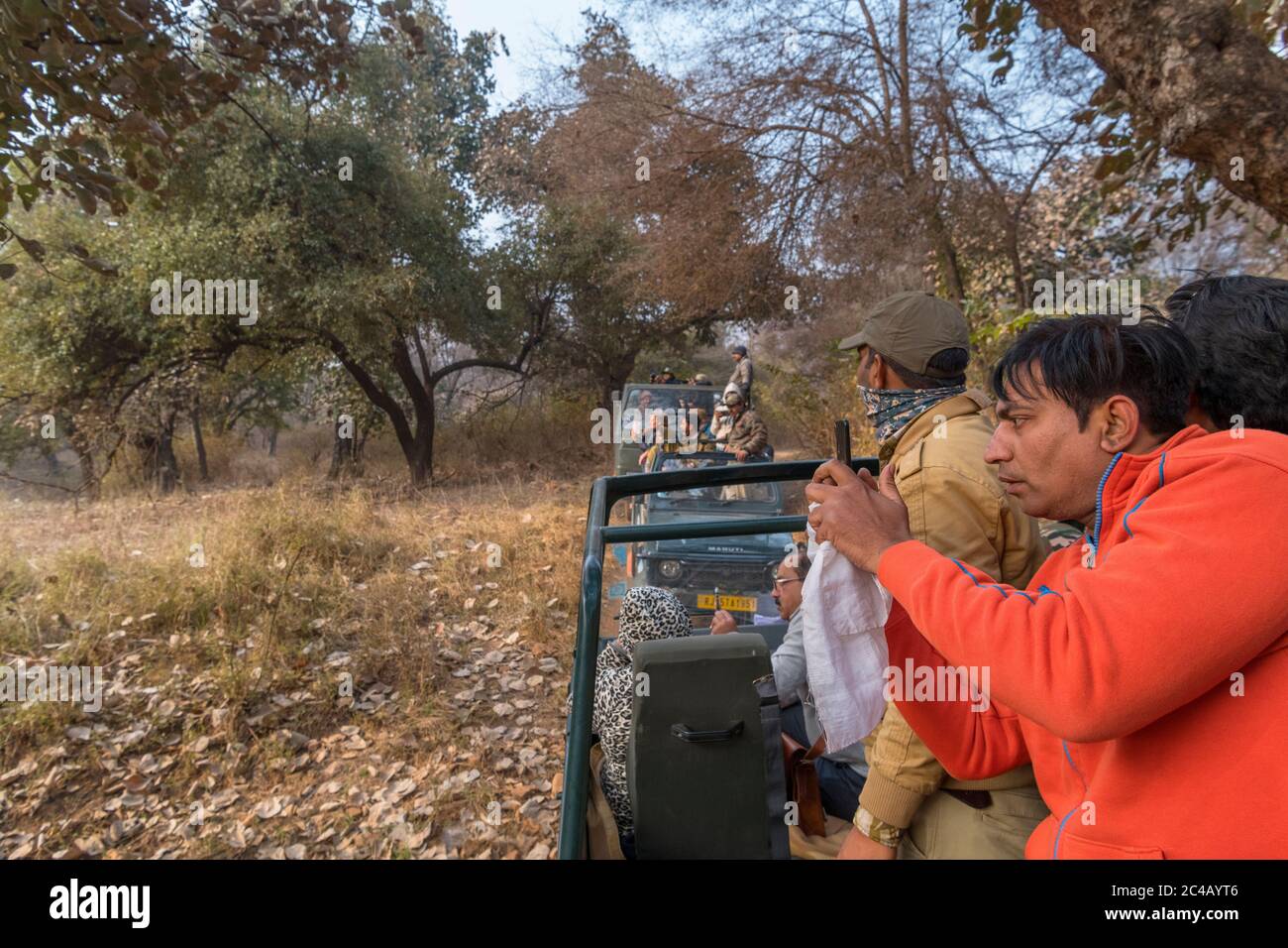 Tourist taking photograph from a Canter safari vehicle on a Tiger Safari in Ranthambore National Park, Rajasthan, India Stock Photo