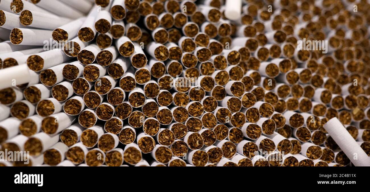Cigarettes showing tobacco filled tubes Stock Photo Alamy