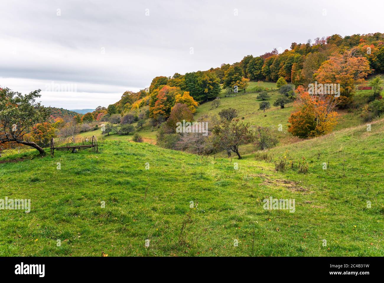 Rolling rural landscape with a deciduous forest in background on a cloudy autumn day. Autumn colours. Stock Photo