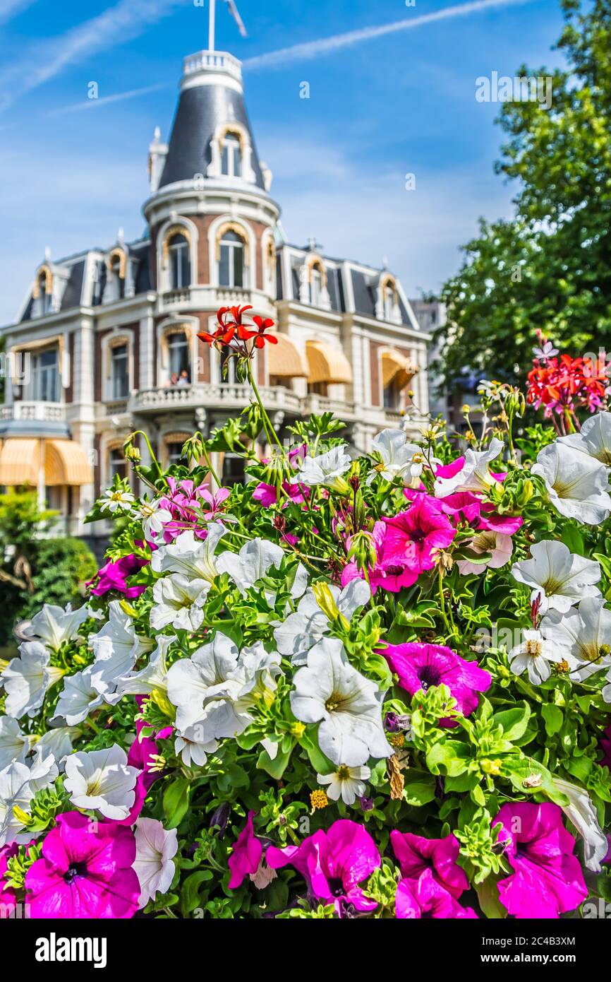 Bridge flower amsterdam hires stock photography and images Alamy