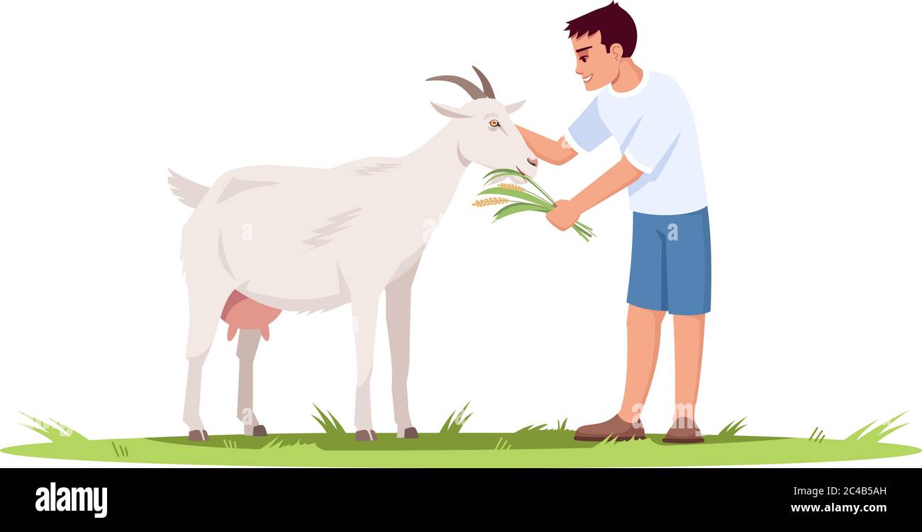 Boy feed goat semi flat RGB color vector illustration Stock Vector
