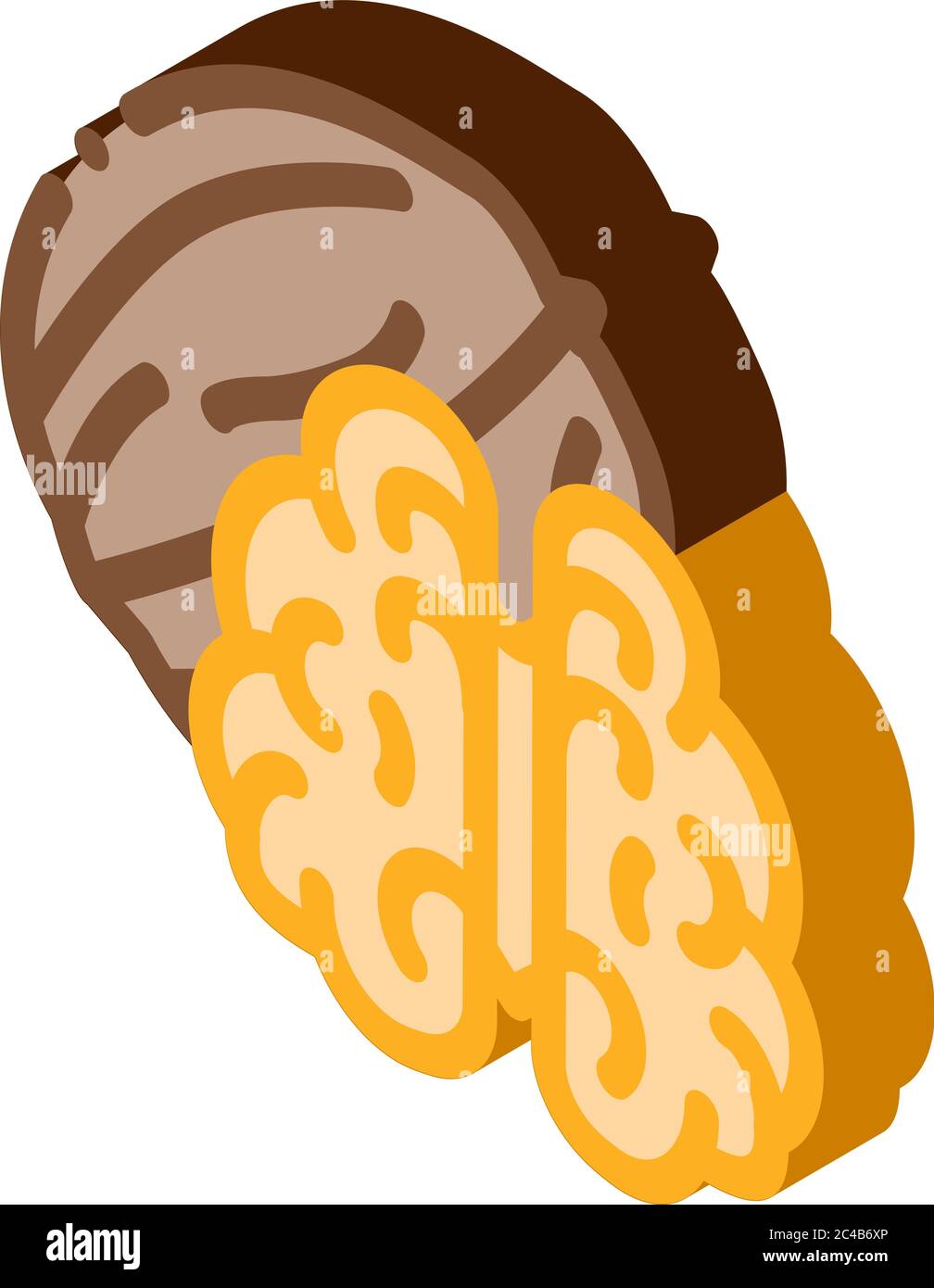 walnut nut icon vector outline illustration Stock Vector