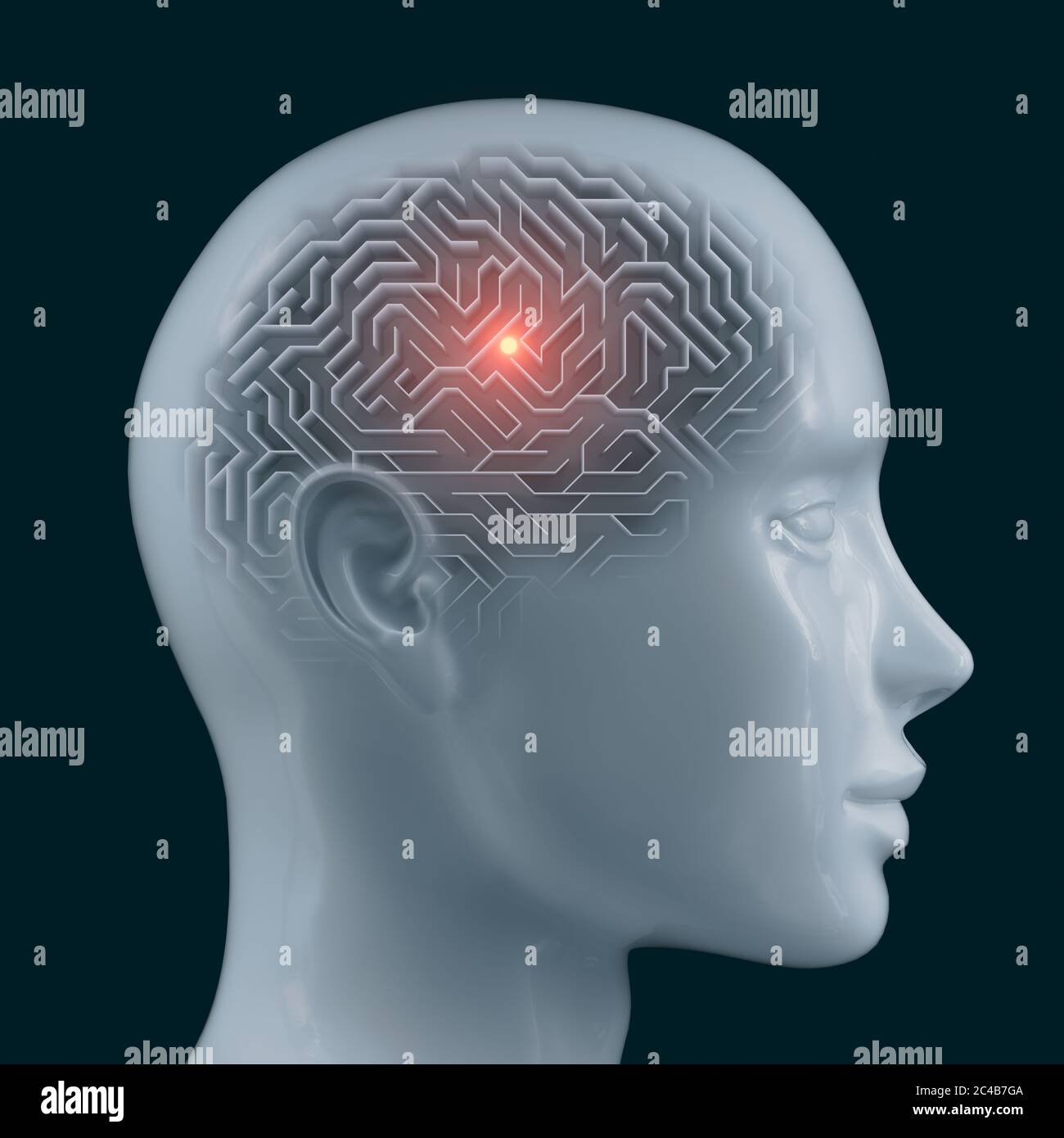 Brain shaped maze with clipping path included. Conceptual image of science and medicine. 3D illustration. Stock Photo