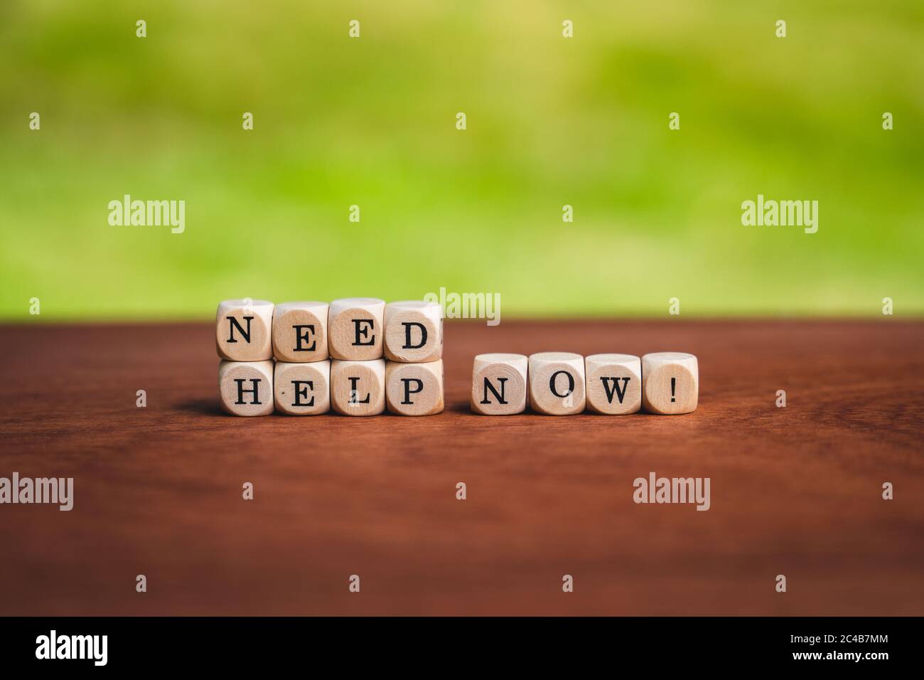 loseup of isolated dices on a table showing the words need help now Stock Photo