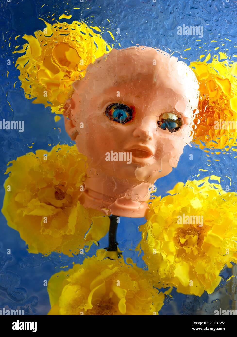 Decapitated dolls head and yellow roses drowning under water droplets ...