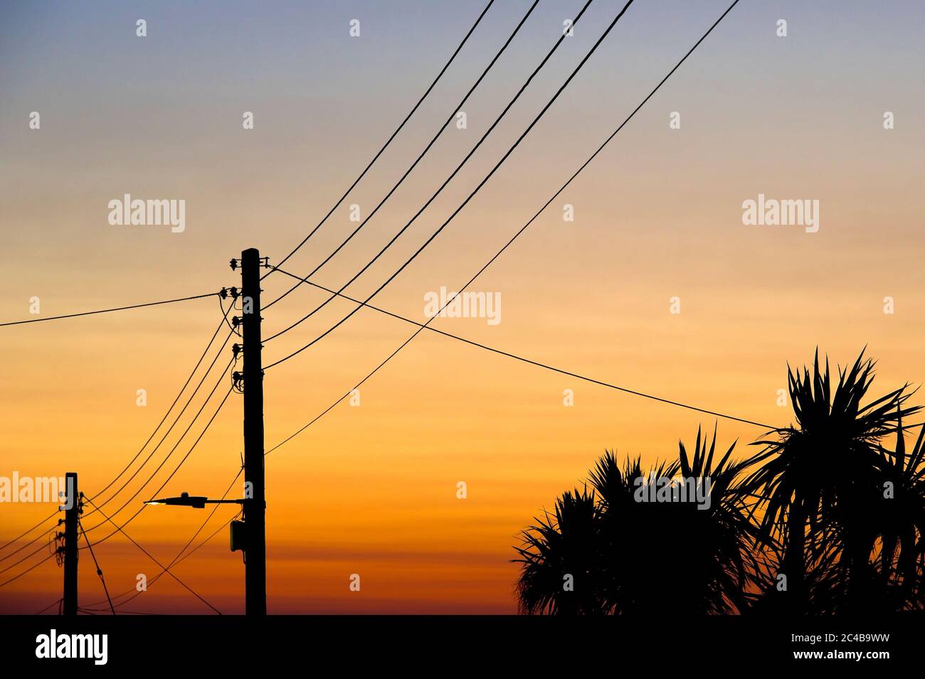 Telephone lines at sunset in Wedmore, Somerset Stock Photo