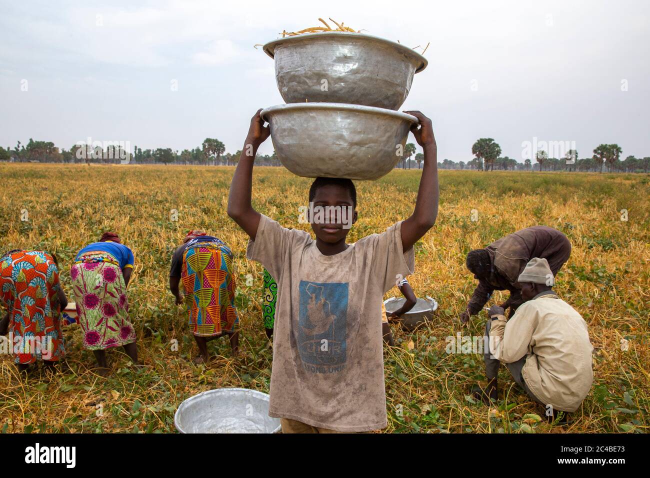 Boy carrying bowls for a bean harvest in tambonga, togo Stock Photo
