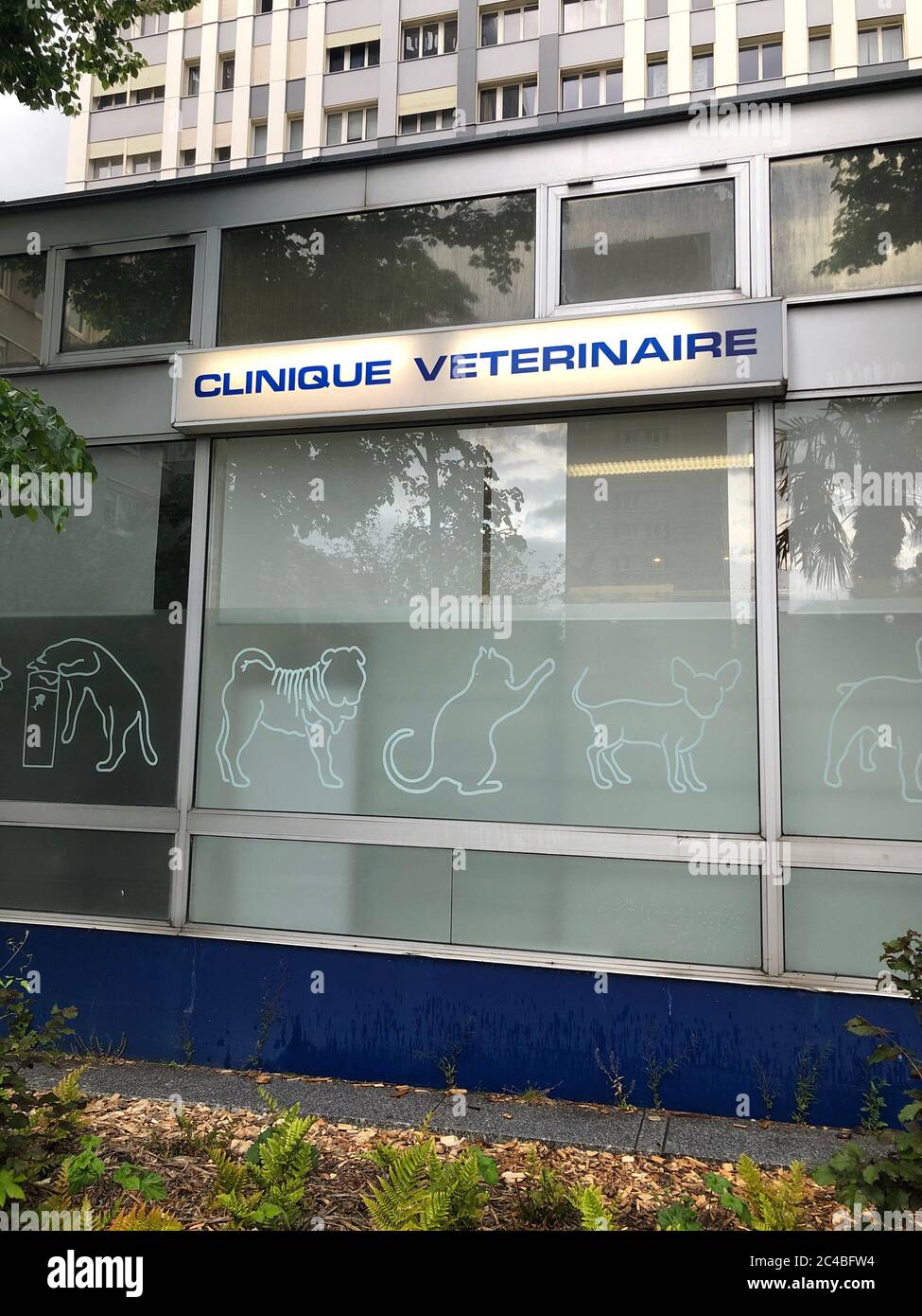 Veterinary clinic in Paris. Stock Photo