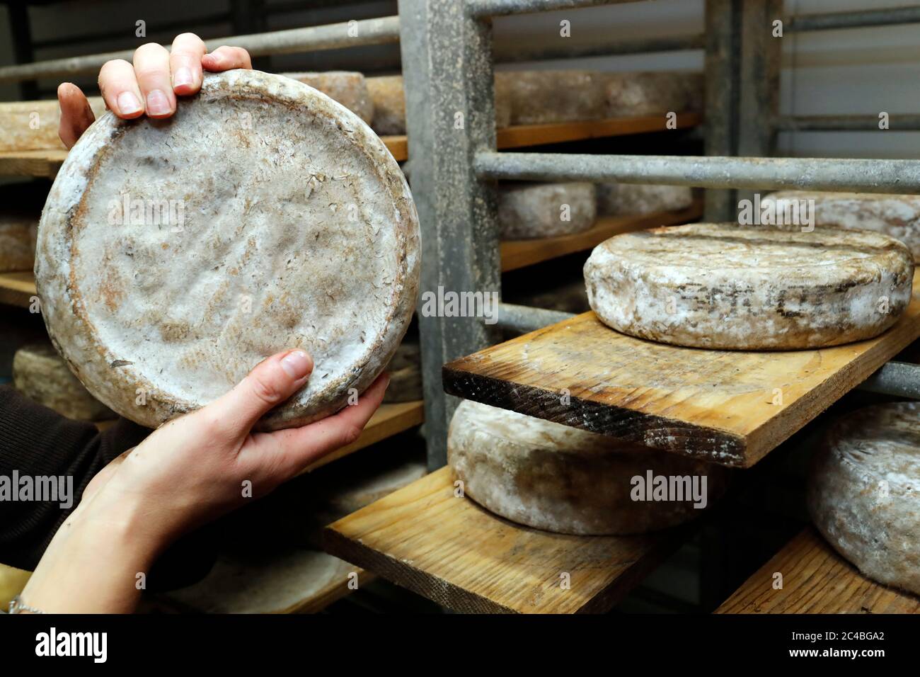 Tradional cheese maker Stock Photo Alamy