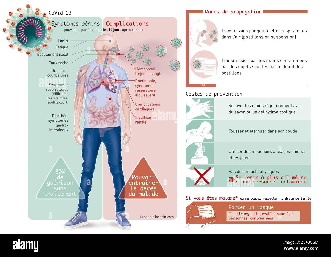 Coronavirus-Symptoms-Prevention, CoVid-19, SARS-COV2, pandemic 2020. CoVid-19 started a pandemic in 2020. The virus responsible for this disease of th Stock Photo