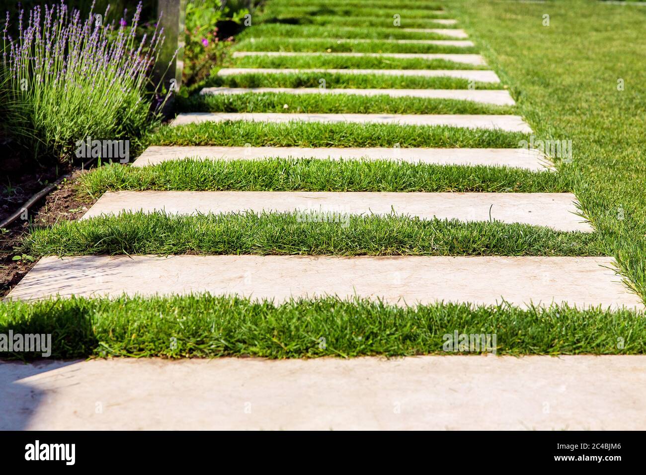 Marble stone tiles a green lawn, landscaped backyard with plants and