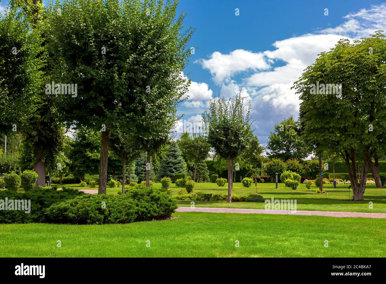 eco friendly park with a walkway with green glade in a garden with