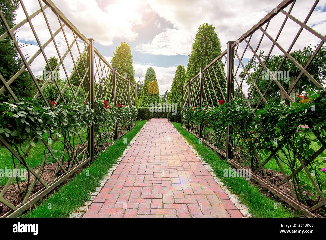 the alley in the rose garden turning into a path with a hedge of thuja from the clouds the sun shines. Stock Photo