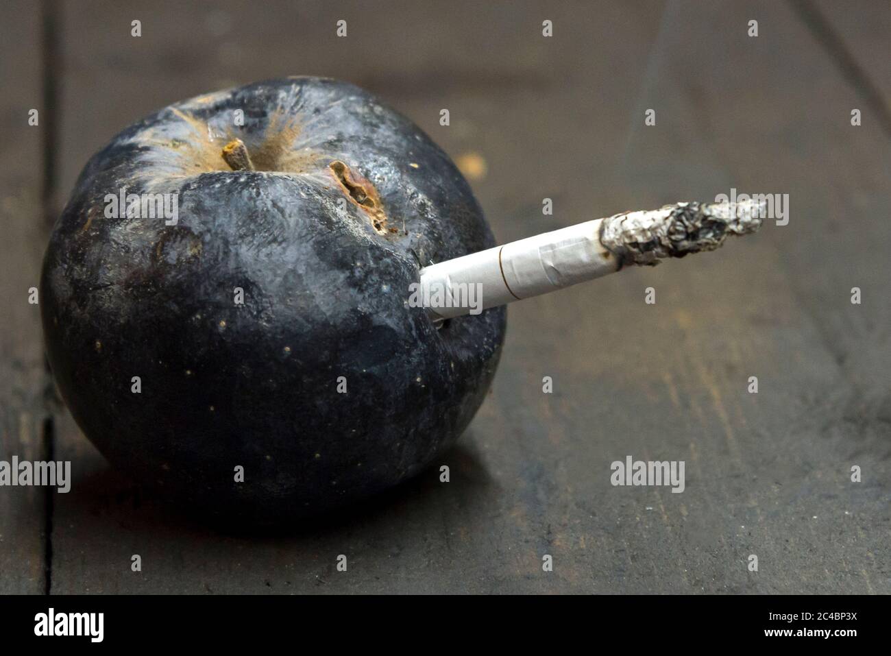 Cigarette inserted in a rotten dried apple, the concept of harm of smoking Stock Photo