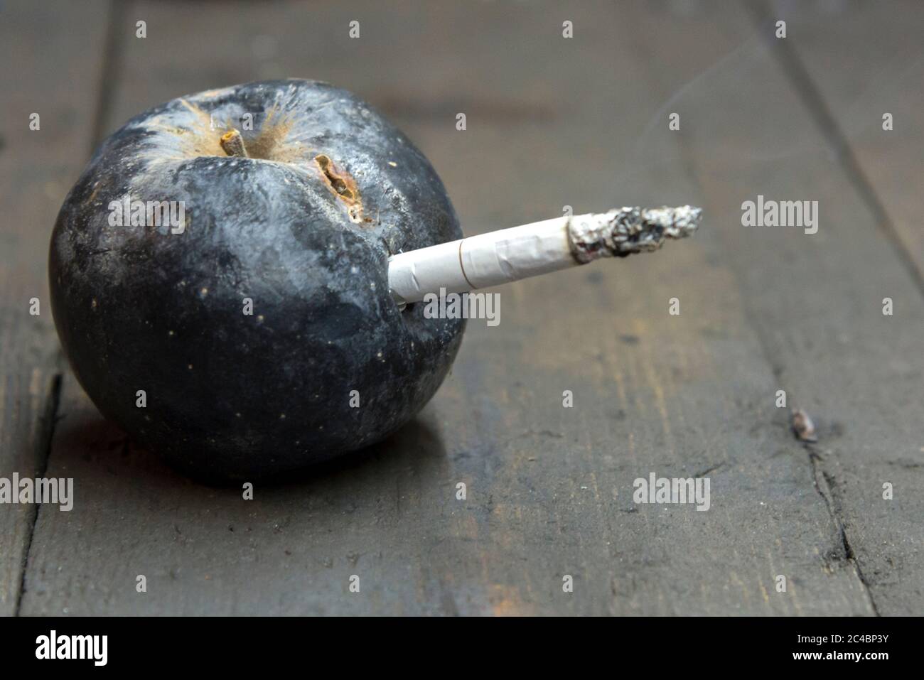 Cigarette inserted in a rotten dried apple, the concept of harm of smoking Stock Photo