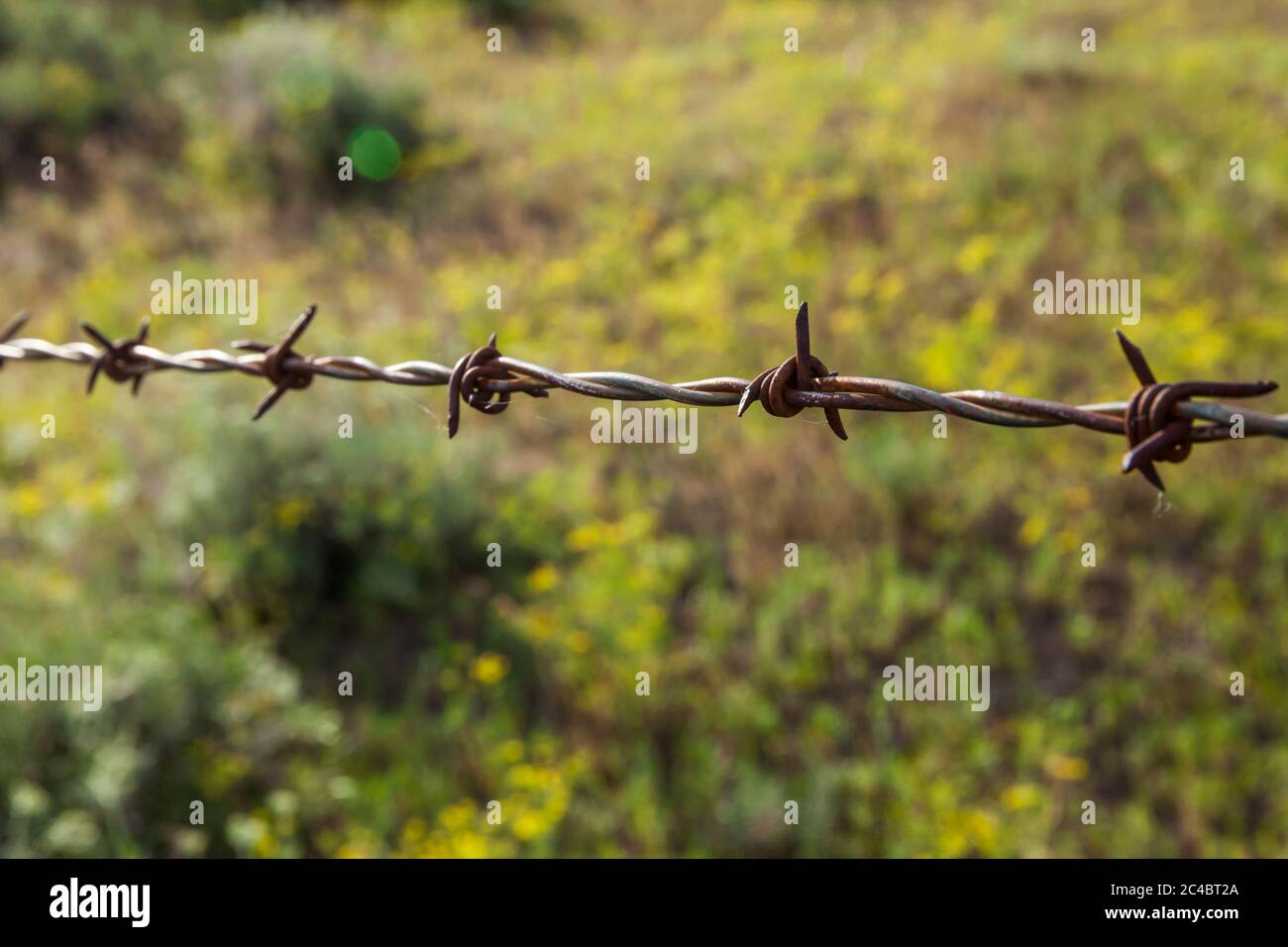 Barbed wire on Patterson Mountain, Methow Valley, Washington, USA. Stock Photo
