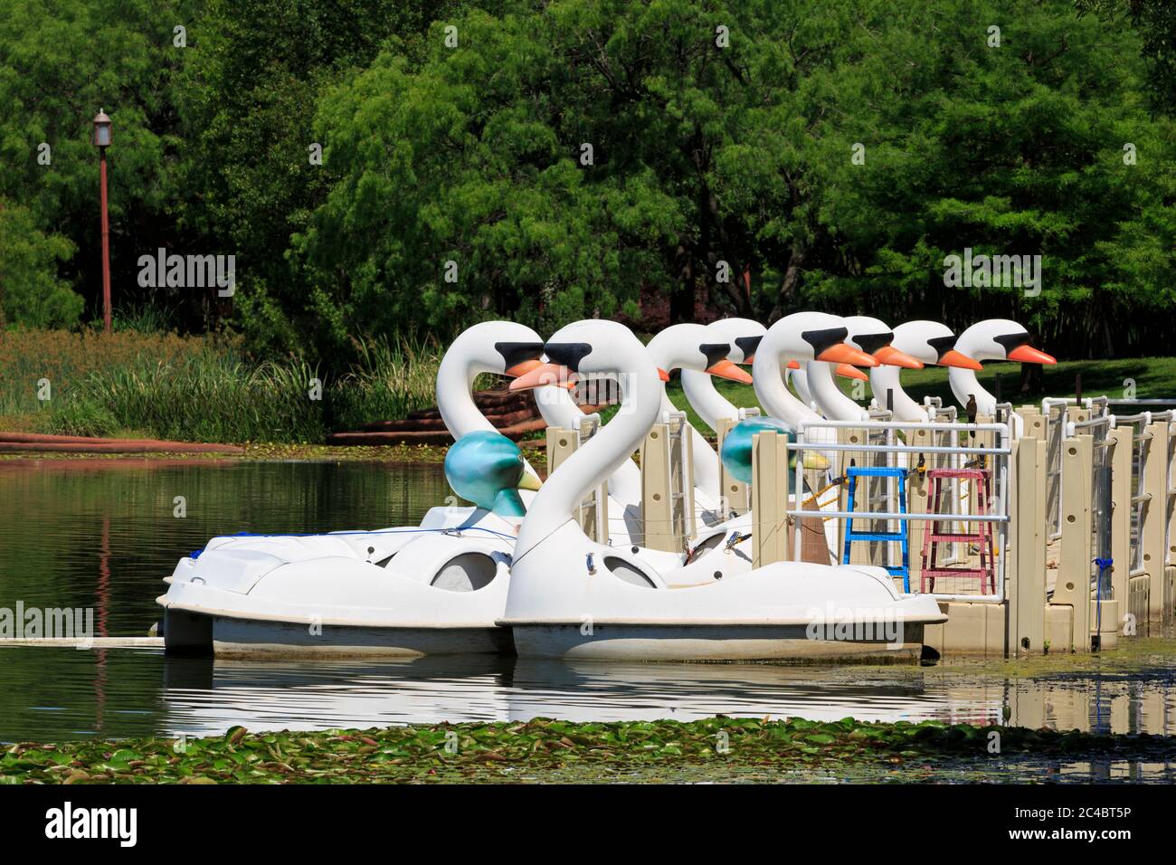 Swan Lake, Fair Park, Dallas, Texas, USA Stock Photo