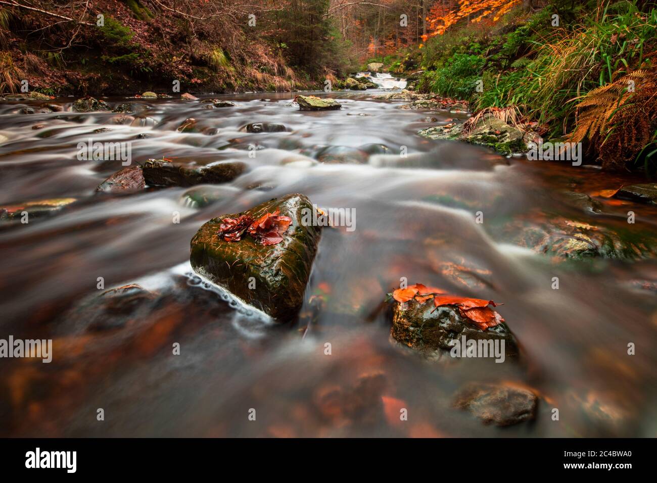 River Hoëgne, Belgium, Wallonie, Ardennes, Hockai Stock Photo