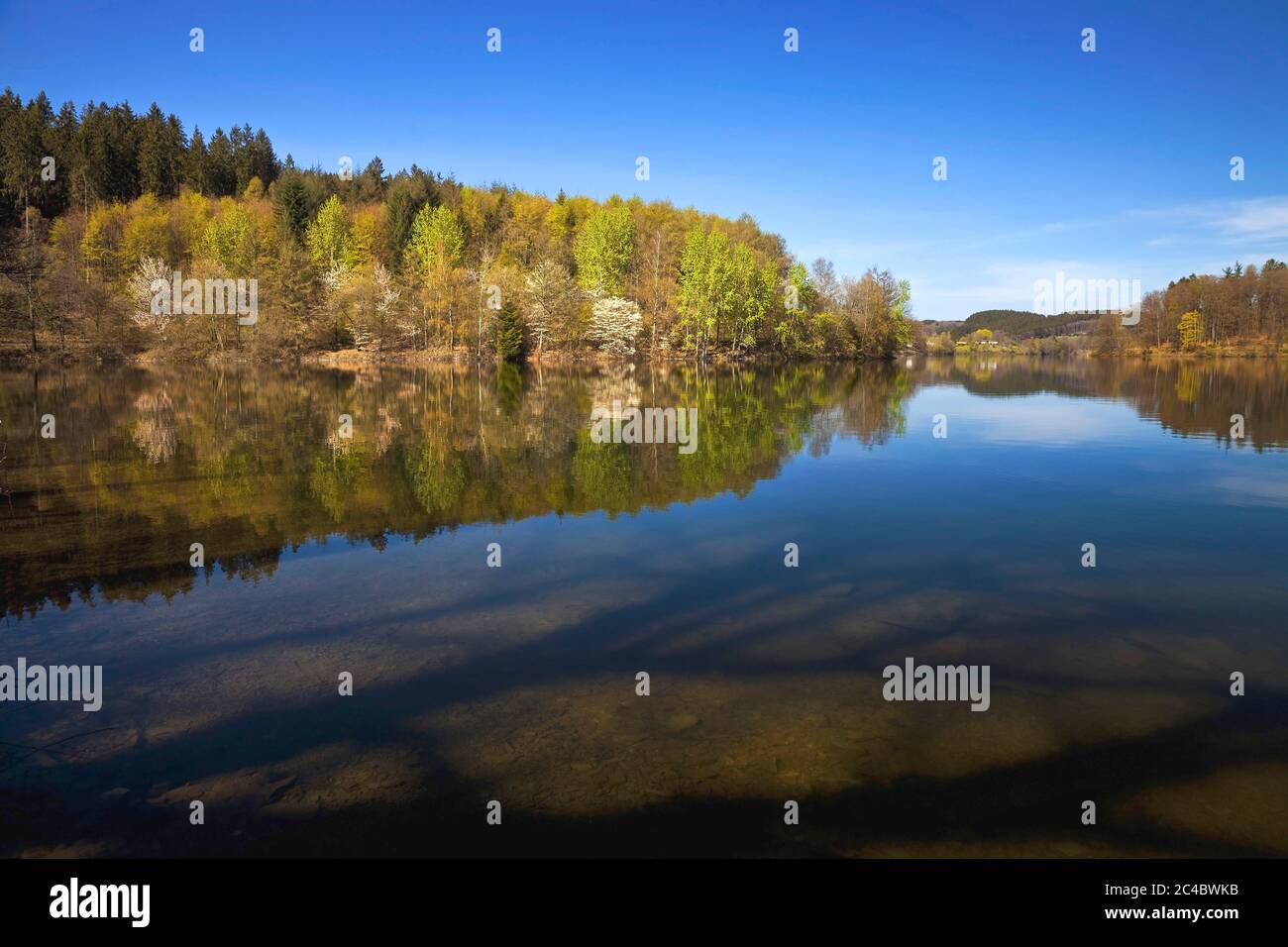 storage lake Listertalsperre in spring, Germany, North Rhine-Westphalia, Sauerland, Attendorn Stock Photo