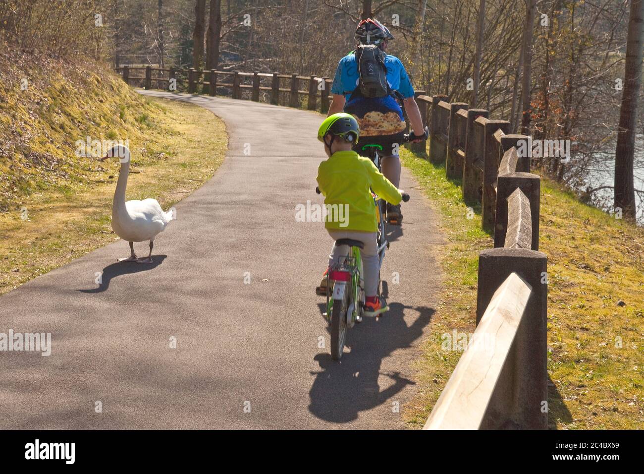 Child riding a swan hi-res stock photography and images - Alamy
