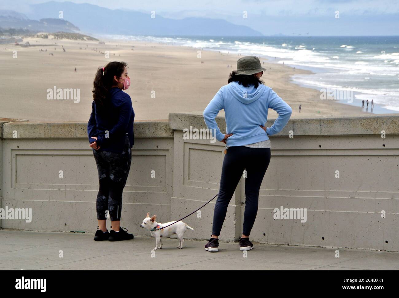 two asian women wearing masks walk thw dog during coronavirus pandemic Stock Photo