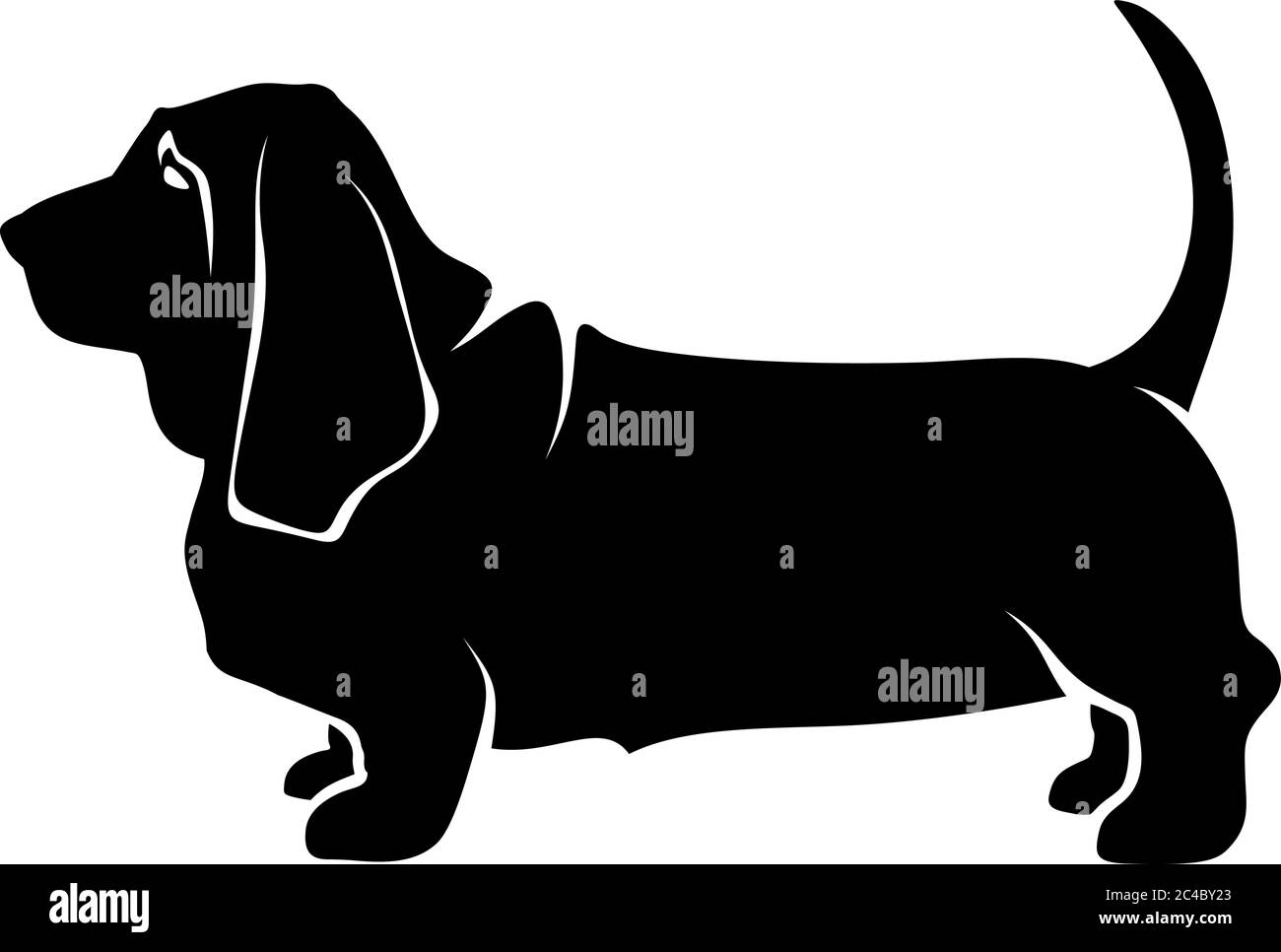 Vector black silhouette of a standing basset hound dog isolated on a white background. Stock Vector
