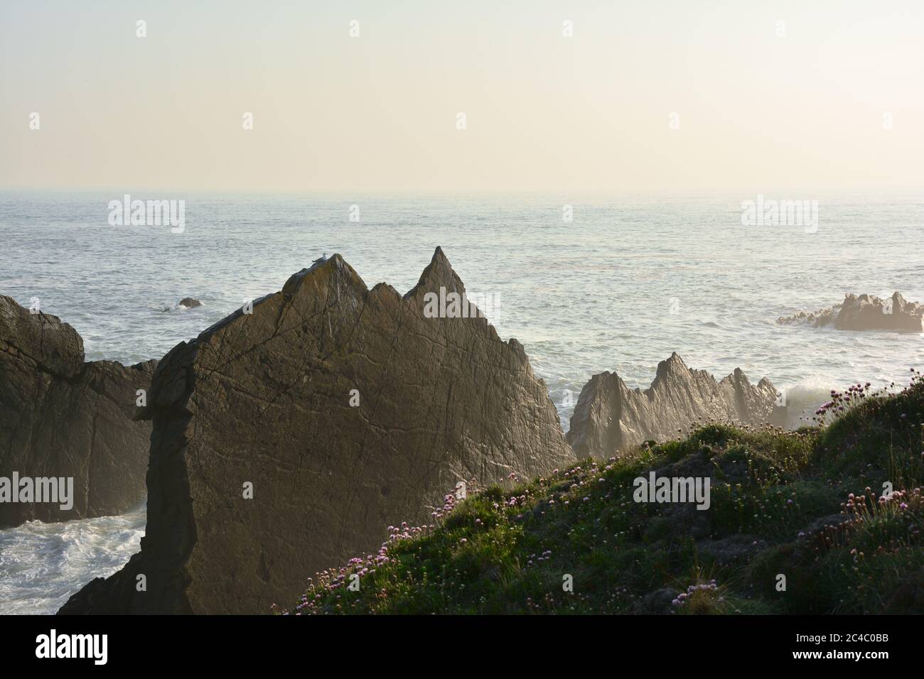 North devon coast rock formation hi-res stock photography and images ...
