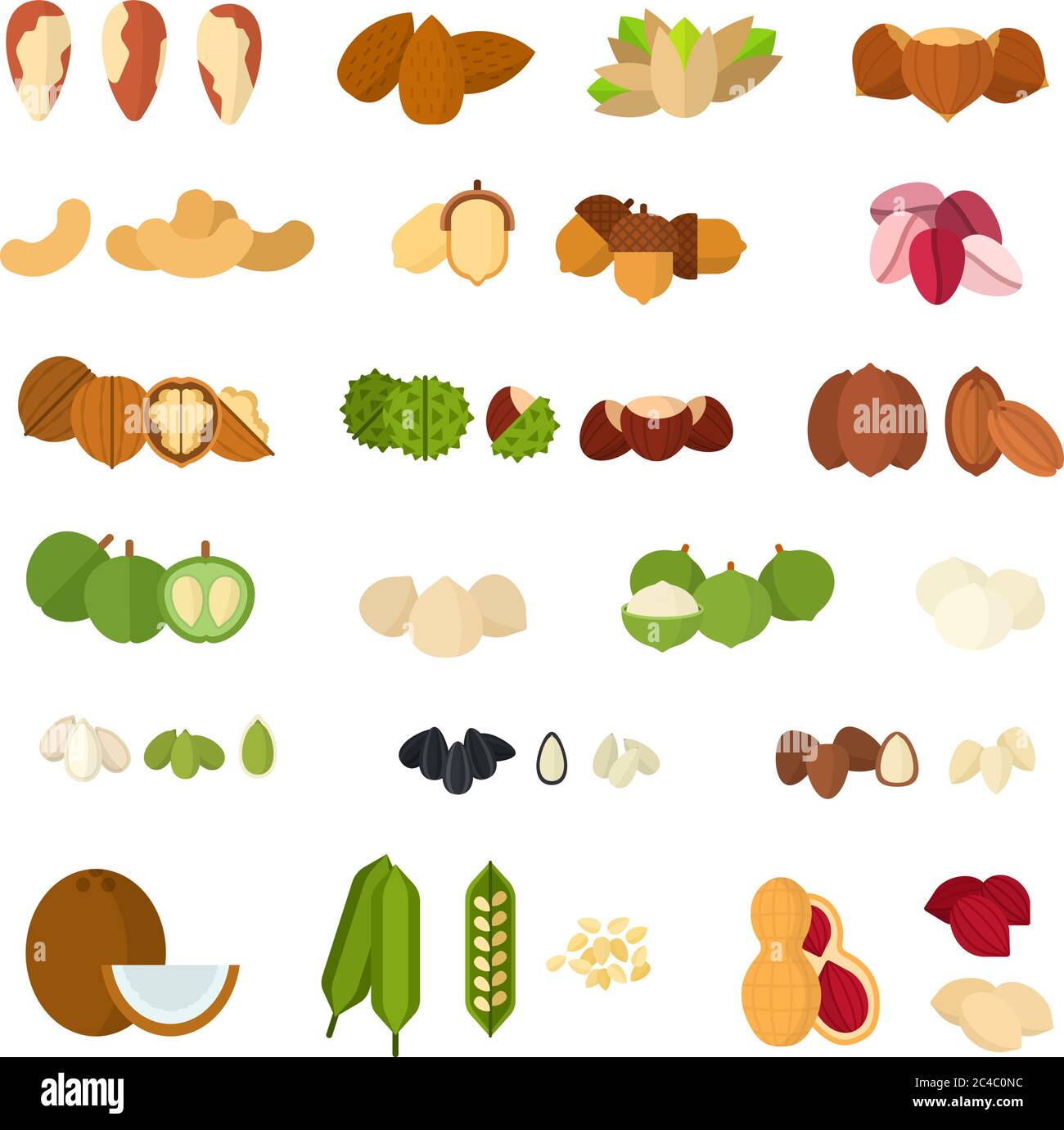 Nuts of all kinds. Various nuts, grains and seeds Stock Vector Image