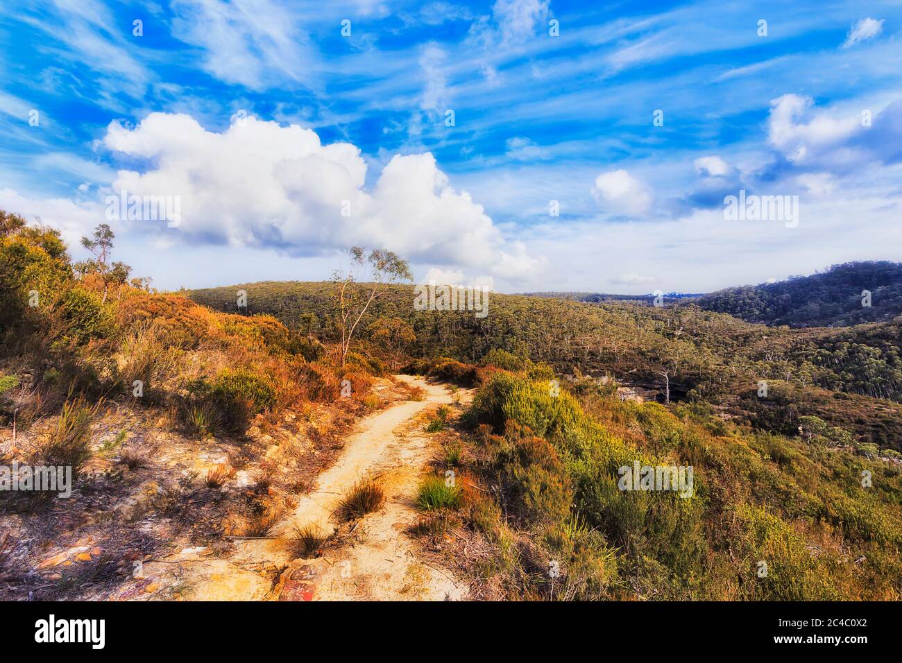 Walls walking track in Australian Blue mountains on a sunny day leading