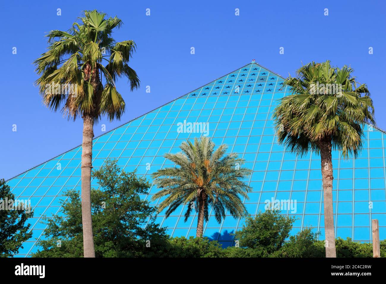 The Aquarium at Moody Gardens,Galveston,Texas,USA Stock Photo Alamy