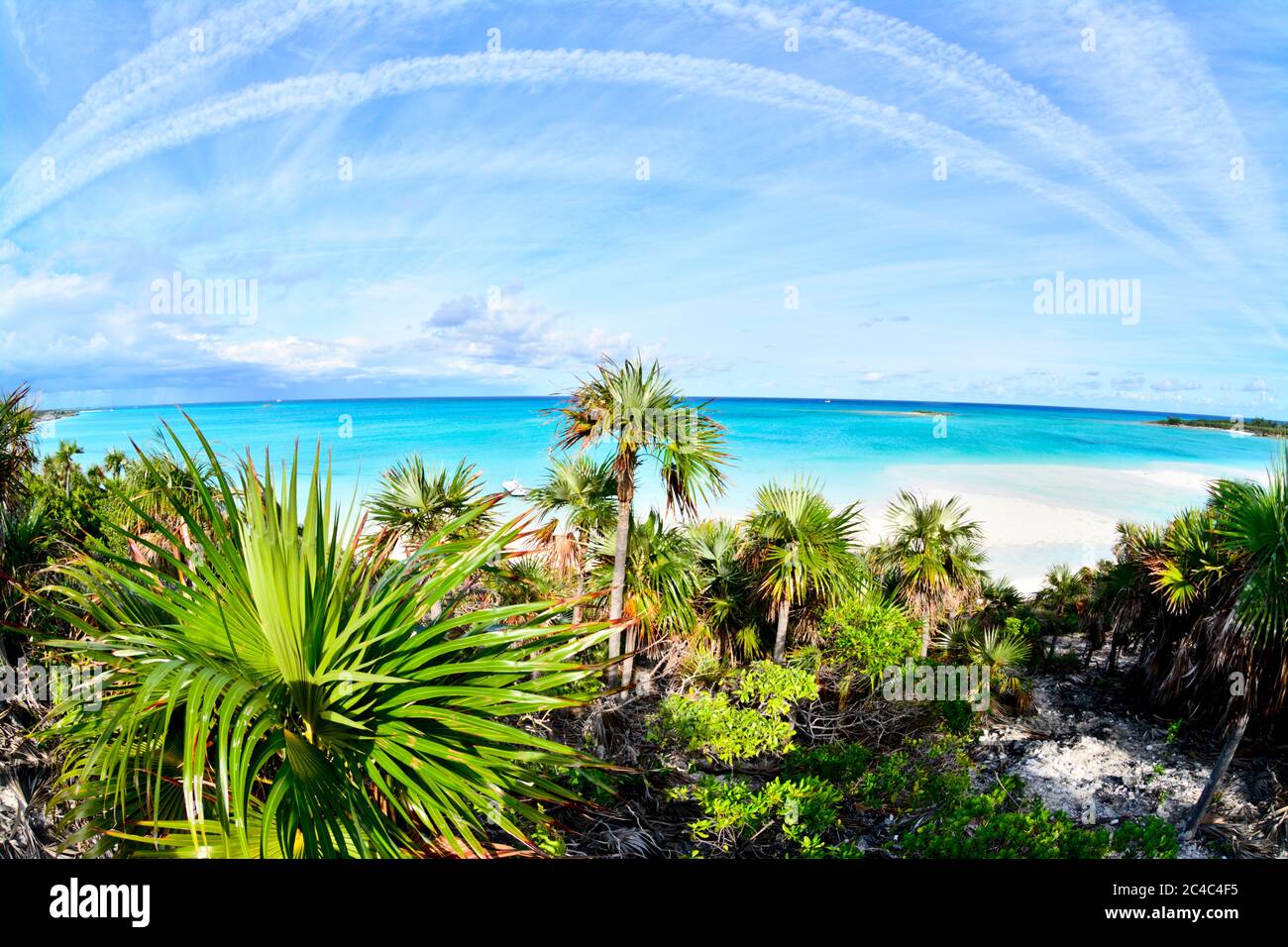 Beautiful landscape in Driftwood beach, Bahamas Stock Photo - Alamy